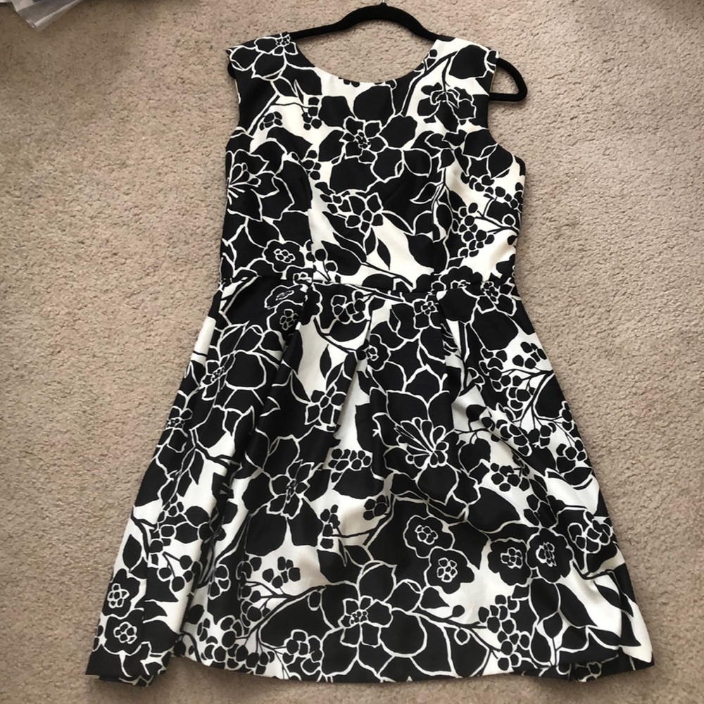The Limited black and white dress